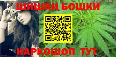 стаф Новозыбков