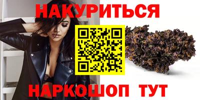 стаф Новозыбков