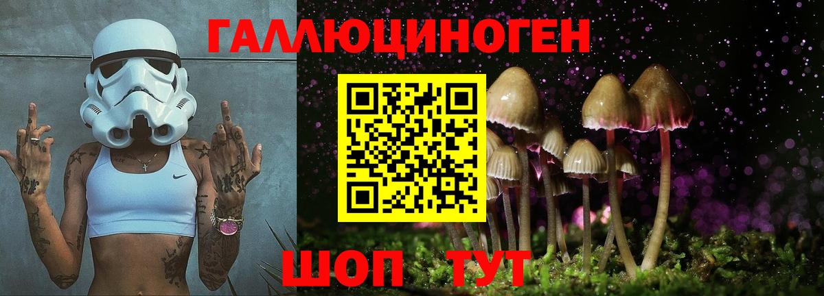 Галлюциногенные грибы мицелий  Псилоцибиновые грибы мицелий  Сибай  как найти закладки  Вход с VPN 